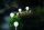LED Au&szlig;en Kugelerdspie&szlig; d: 30 cm