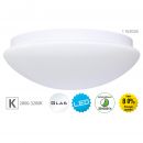 LED Wand- Deckenleuchte d:29cm